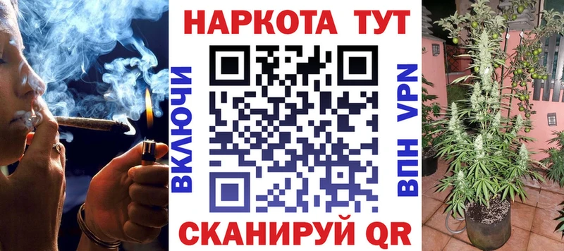 Где можно купить наркотики Андреаполь гидра ССЫЛКА  Alpha PVP  Меф  Каннабис 