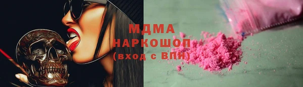индика Алексин