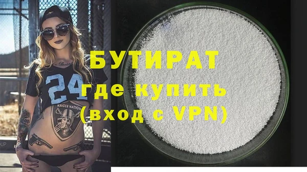 индика Алексин