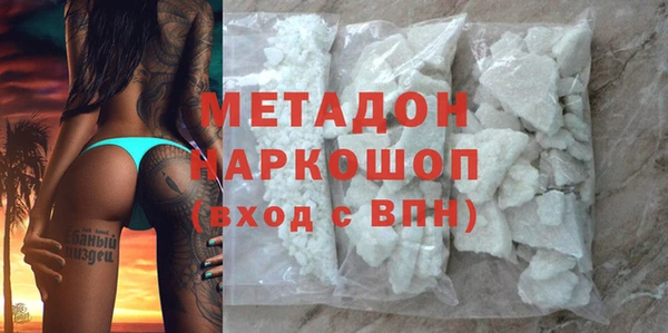 индика Алексин