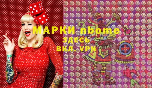 индика Алексин