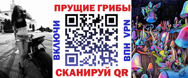 Галлюциногенные грибы MAGIC MUSHROOMS  OMG вход  Андреаполь 